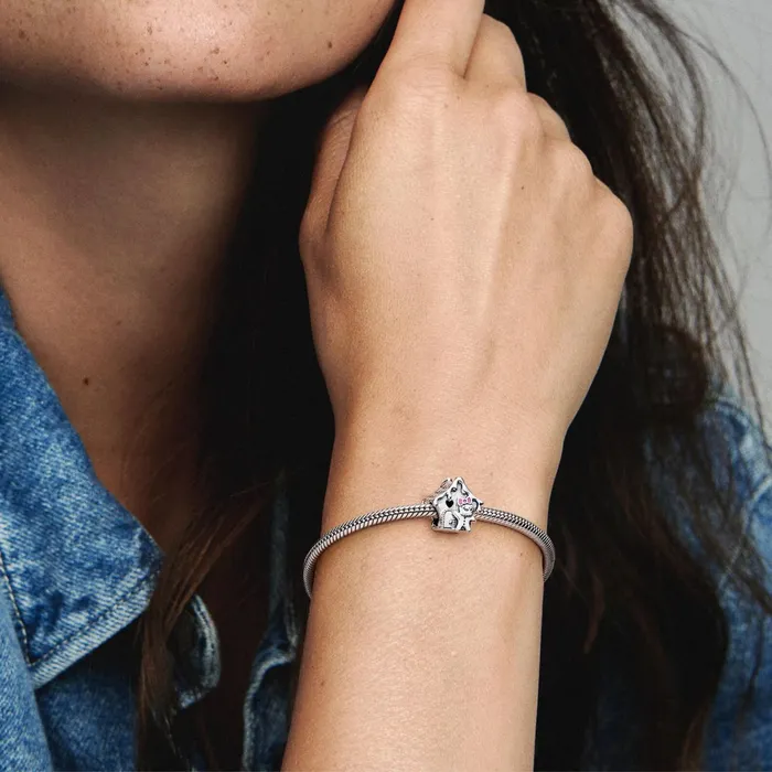 1 Bracelet2 Charms 99 Women Pandora Gingerbread House Charm