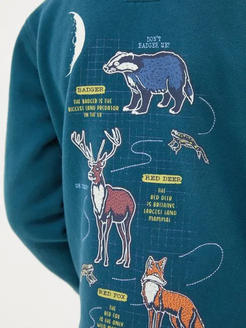 Boys Fatface Sweatshirts and Hoodies Teal Blue Dark Skies Animal Zip Through Hoodie Boys Fatface Sweatshirts and Hoodies Teal Blue Dark Skies Animal Zip Through Hoodie