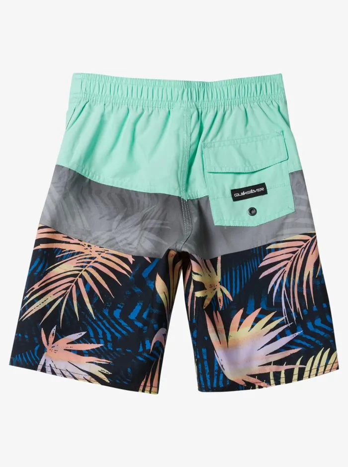 Boys Quiksilver Boardshorts Boy039s 27 Everyday Panel 14034 Boardshorts Beach Glass Boys Quiksilver Boardshorts Boy039s 27 Everyday Panel 14034 Boardshorts Beach Glass