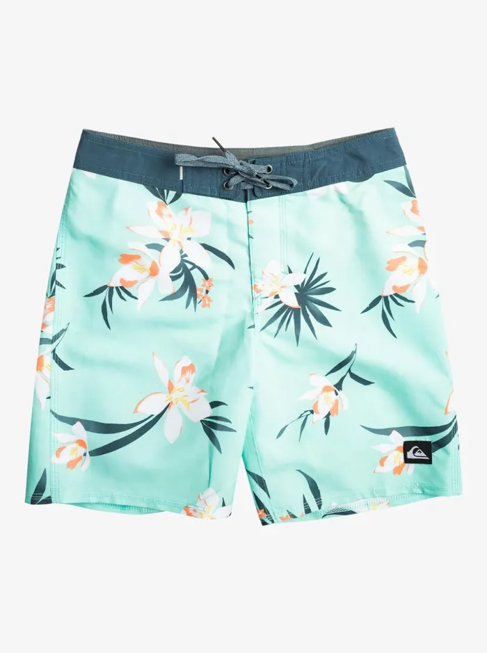 Boys Quiksilver Boardshorts Boy039s 816 Everyday QS 69 16034 Boardshorts Beach Glass