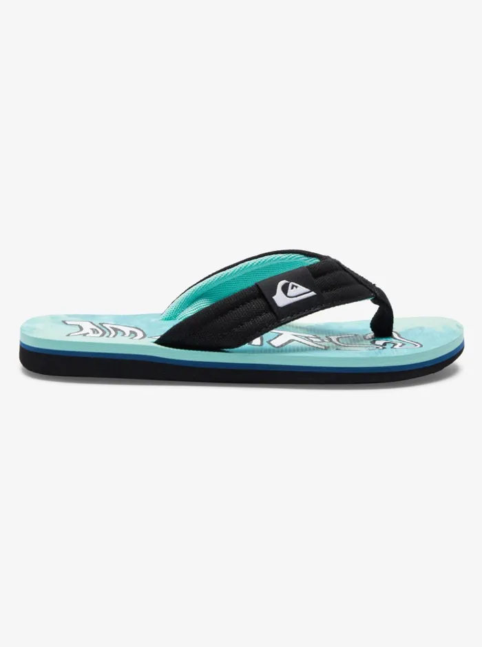 Boys Quiksilver Sandals Boy039s 816 Molokai Layback Sandals Greenblueyellow