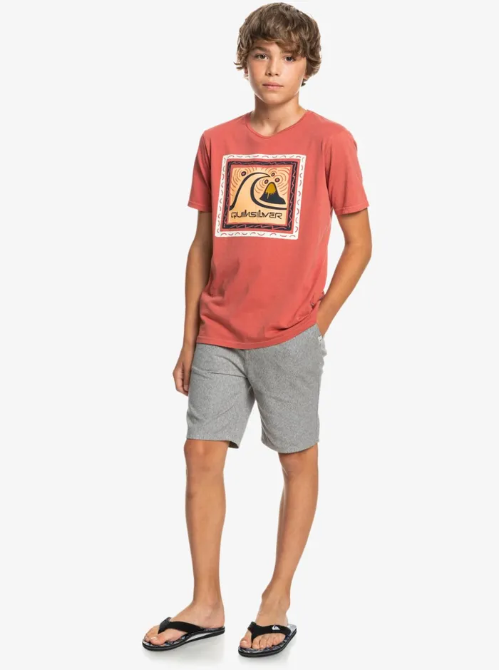 Boys Quiksilver Shorts Boy039s 816 Everyday 17034 Chino Shorts Light Grey Heather Boys Quiksilver Shorts Boy039s 816 Everyday 17034 Chino Shorts Light Grey Heather
