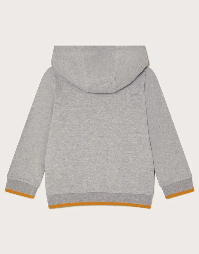 Children Dinosaur Hoodie Grey Monsoon Knitwear Jumpers and Hoodies