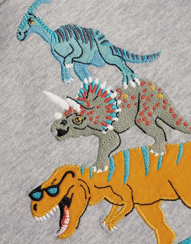 Children Dinosaur Hoodie Grey Monsoon Knitwear Jumpers and Hoodies