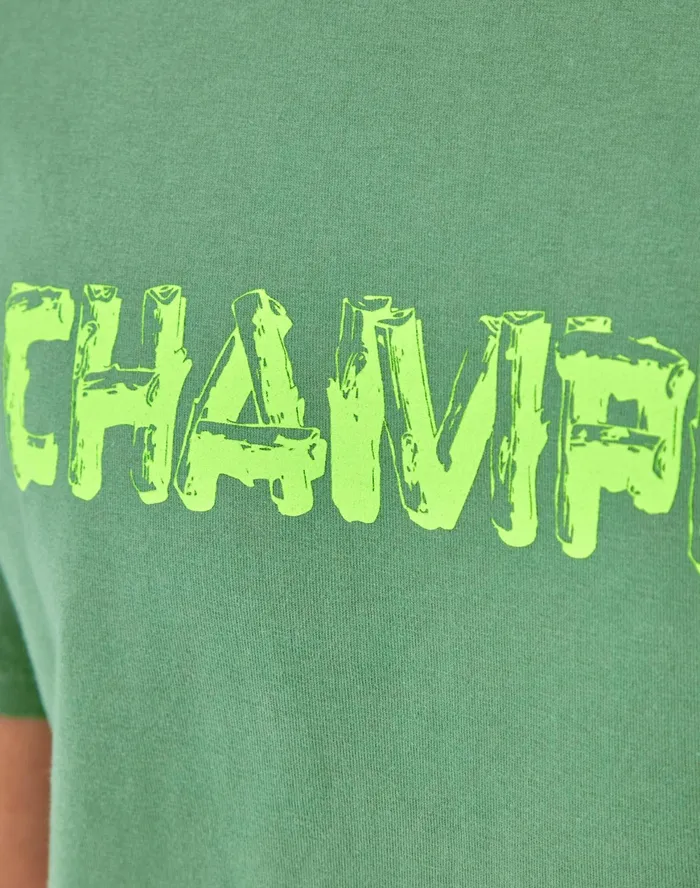 Classic Vintage Wash Graphic TShirt Log Text Logo Comfort Wash Nurture Green Men Champion TShirts and Tops