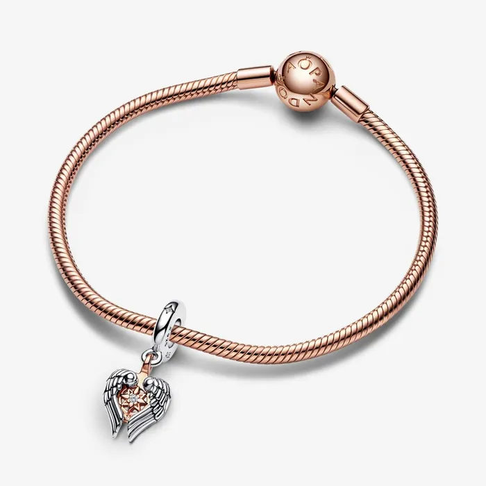 Dangle Charms Women Pandora Celestial Compass Angel Wings Dangle Charm