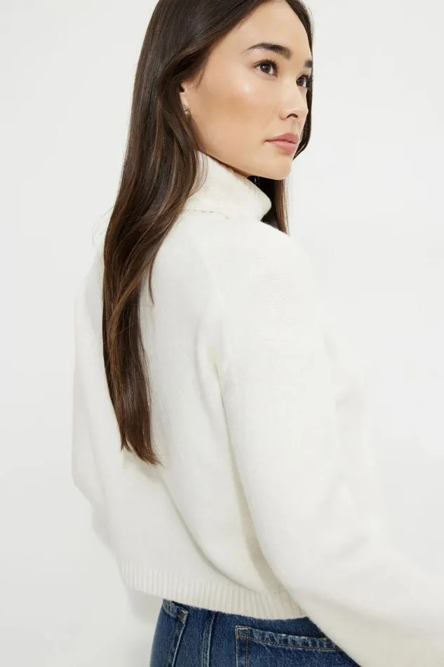 Dynamite Sweaters and Cardigans Women Heavenlyarn Cropped Turtleneck Sweater Beige