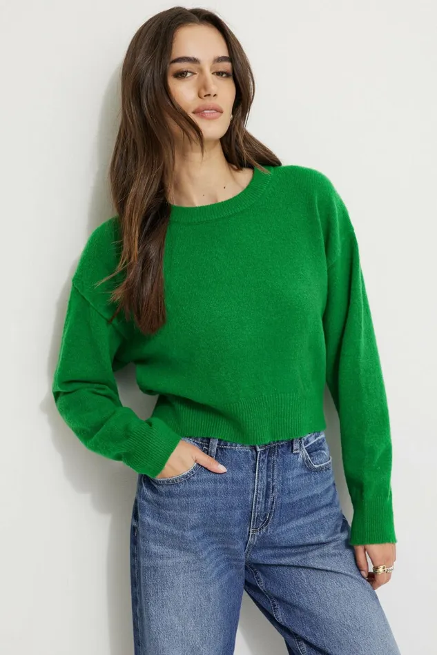Dynamite Tops Women Heavenlyarn Crewneck Sweater Green