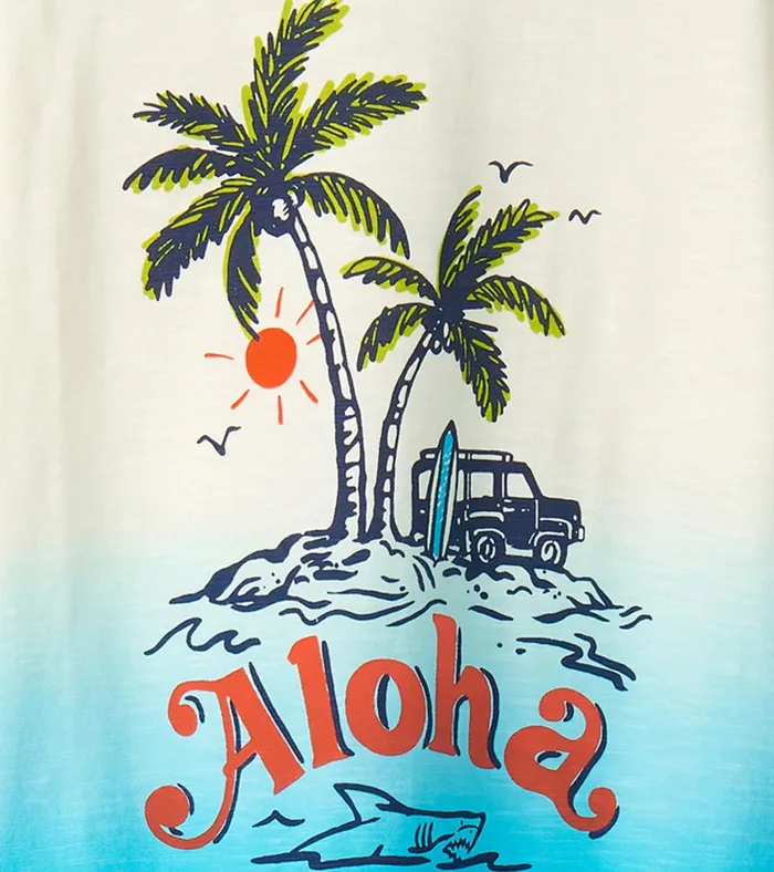 Hatley Boys Aloha Graphic Tee Boys Tops