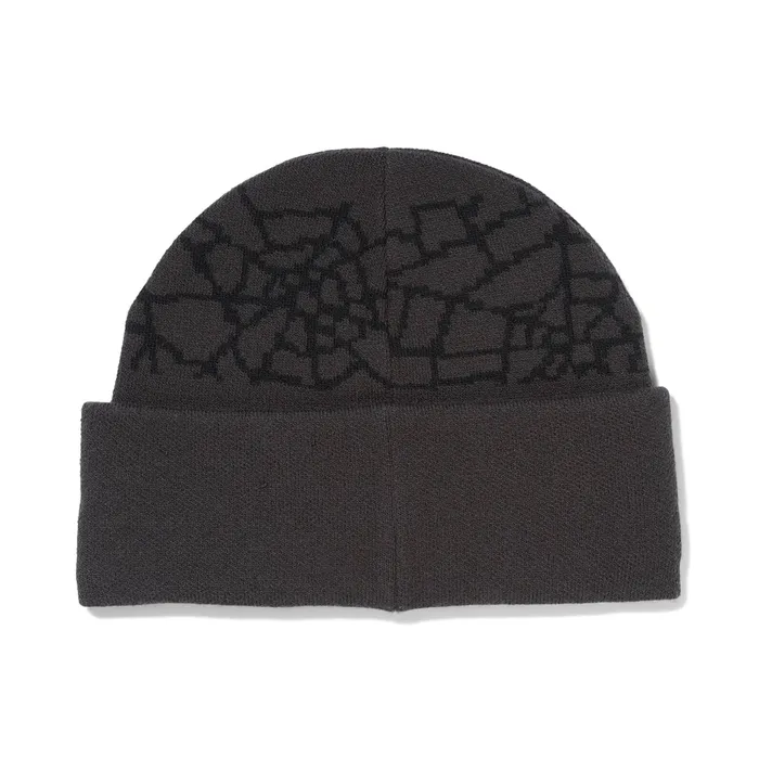 Hats Mens Spyder Nebula Beanie 8211 Polar