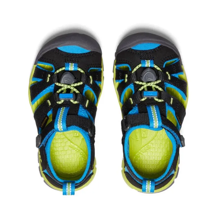 Kids KEEN Playground Little Kids039 Black Water Sandals 8211 Seacamp II CNX