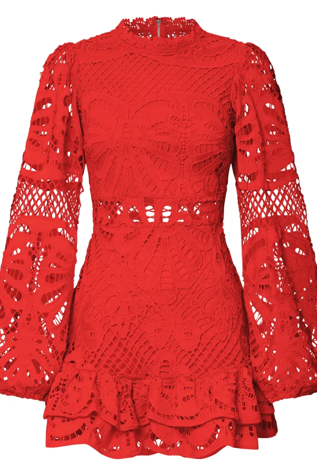 Kiss Me Now Mini Dress 8211 Long Puff Sleeve Dress In Red Floral Women Showpo Curve Clothes