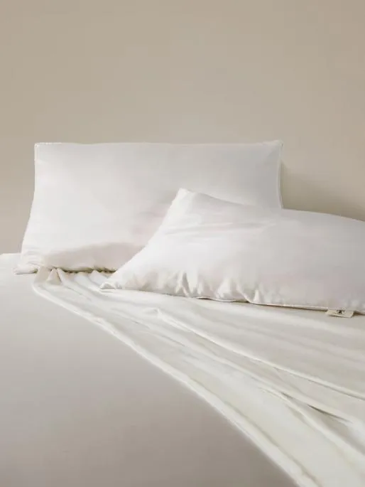 Lilysilk Silk Pillow With Silk Shell Home Pillows Comforters