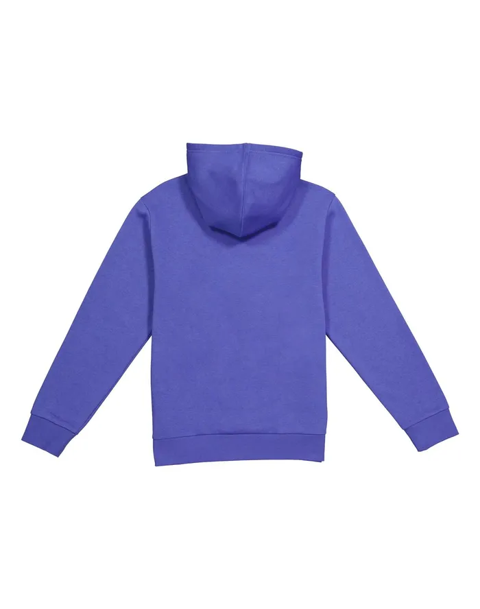 Little Kids039 Powerblend Hoodie Classic Script Stone Crush Blue Kids Champion Hoodies and Sweatshirts