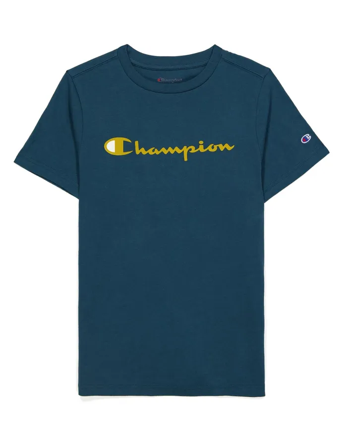 Little Kids039 ShortSleeve TShirt Script Logo Metallic Teal Kids Champion TShirts