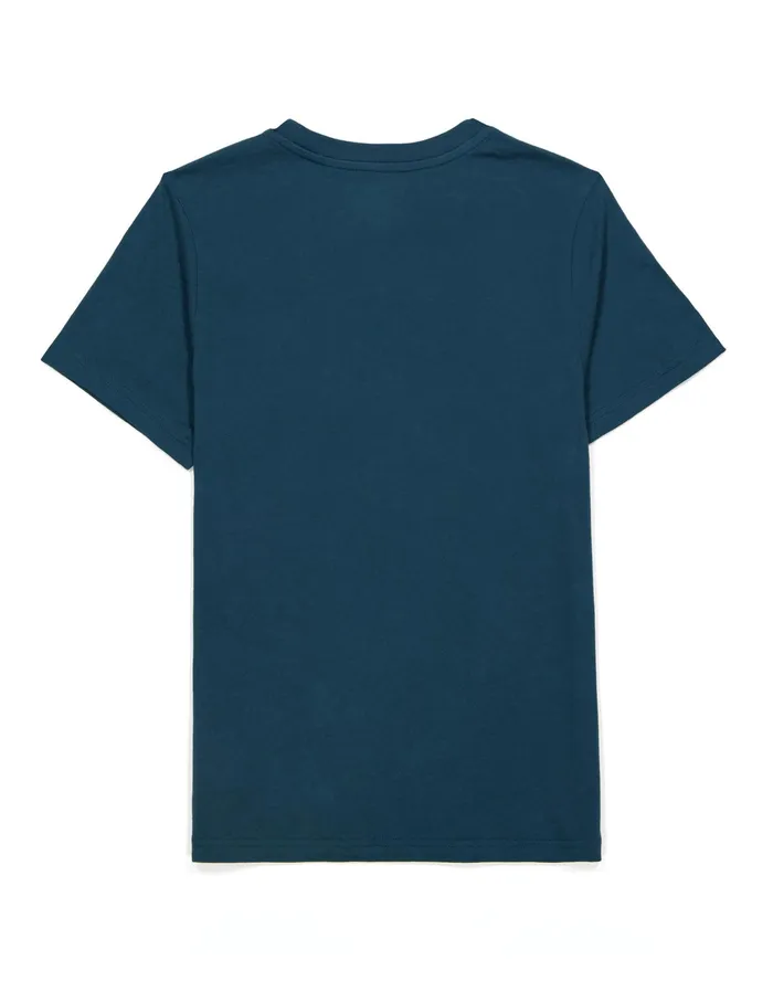 Little Kids039 ShortSleeve TShirt Script Logo Metallic Teal Kids Champion TShirts