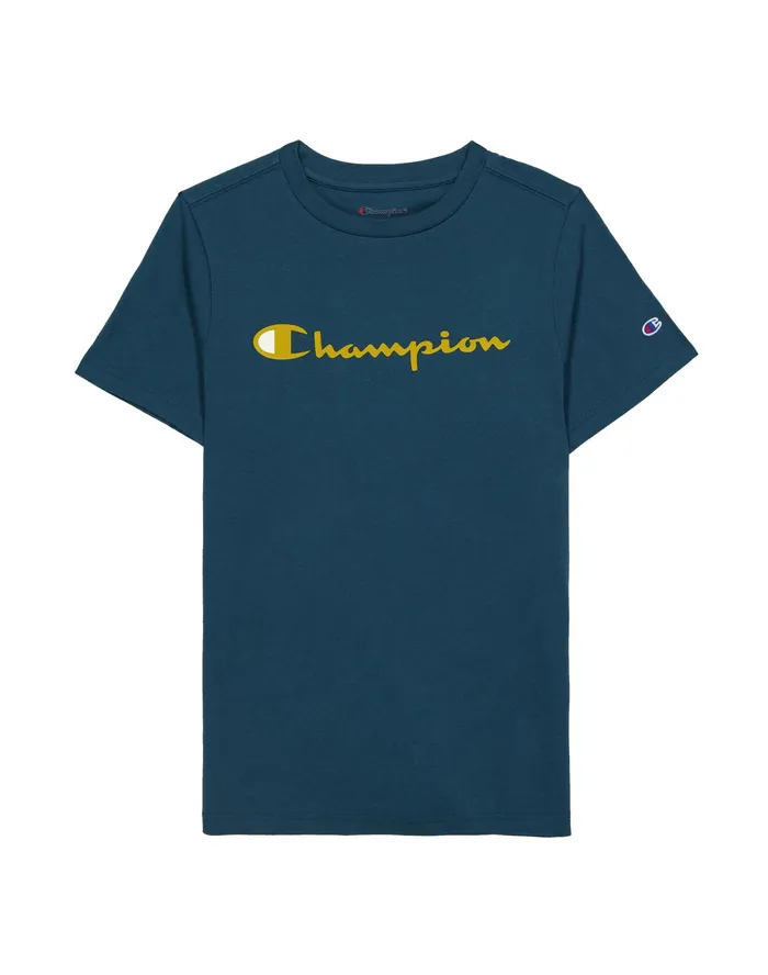 Little Kids039 ShortSleeve TShirt Script Logo Metallic Teal Kids Champion TShirts