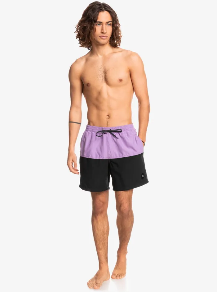 Men Quiksilver Boardshorts Everyday Division 17034 Volleys Black Men Quiksilver Boardshorts Everyday Division 17034 Volleys Black