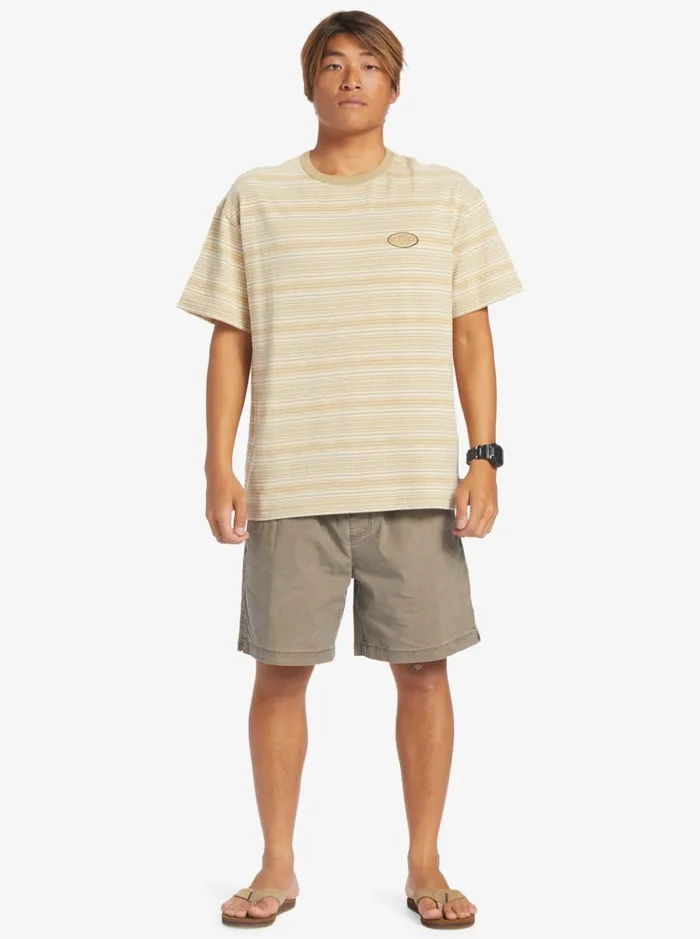 Men Quiksilver Shorts and Amphibians Taxer Elastic Waist Shorts Chocolate Chip Men Quiksilver Shorts and Amphibians Taxer Elastic Waist Shorts Chocolate Chip