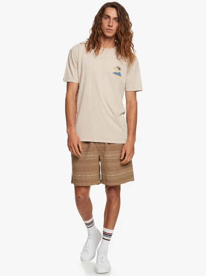 Men Quiksilver Shorts and Amphibians Taxer Jacquard Shorts Olive Gray Mini Jacquard Men Quiksilver Shorts and Amphibians Taxer Jacquard Shorts Olive Gray Mini Jacquard