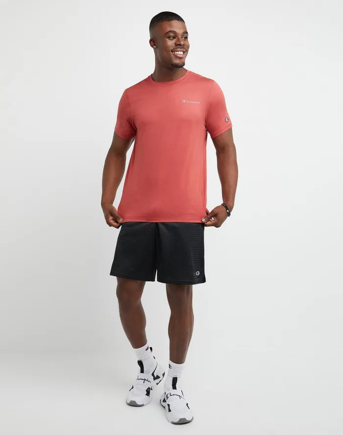 Mesh Shorts 9034 Black Men Champion Shorts