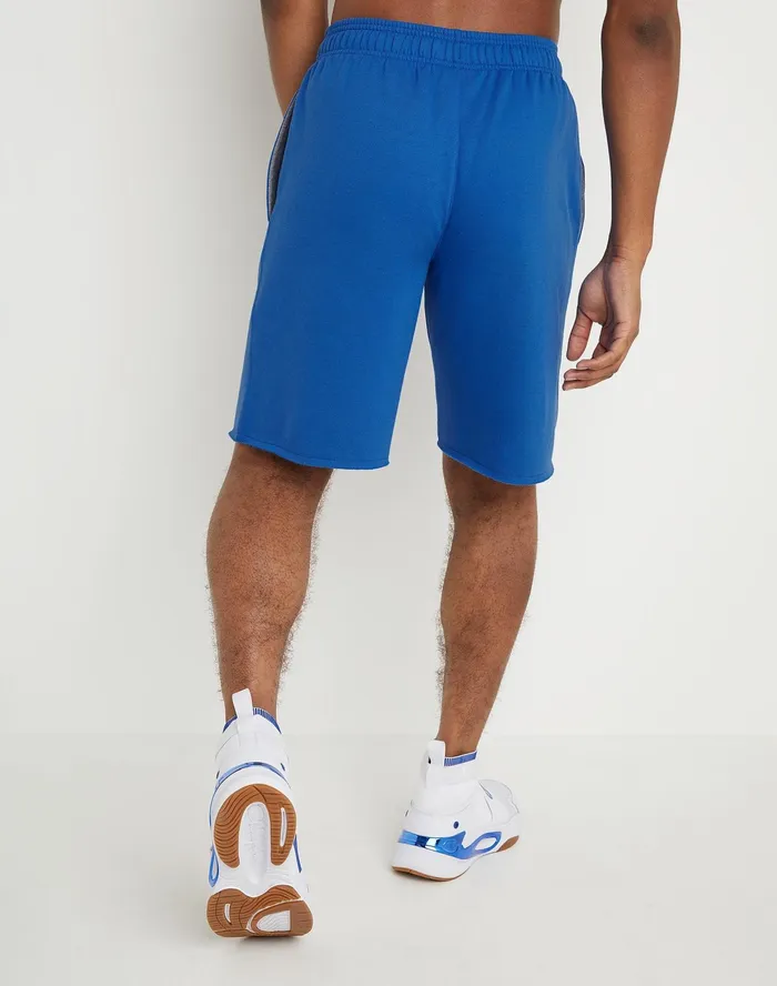 Powerblend Shorts 10034 Bright Royal Men Champion Shorts