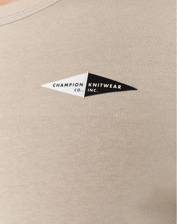 Premium Heavyweight TShirt Double Pennant Graphic Arctic Cold Beige Men Champion TShirts and Tops