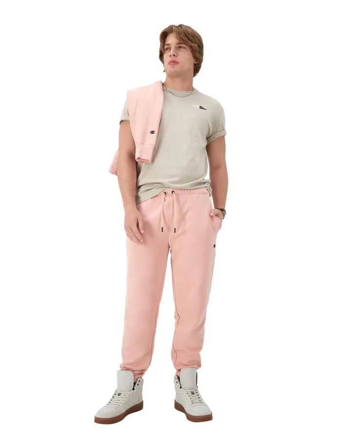 Premium Heavyweight TShirt Double Pennant Graphic Arctic Cold Beige Men Champion TShirts and Tops
