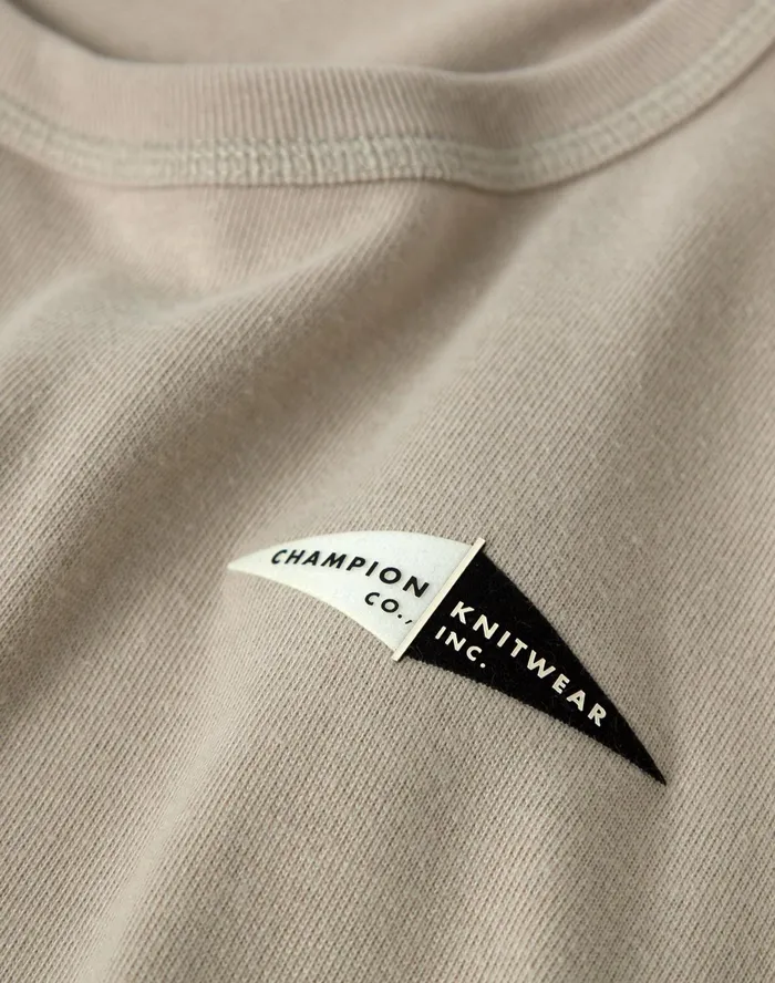 Premium Heavyweight TShirt Double Pennant Graphic Arctic Cold Beige Men Champion TShirts and Tops