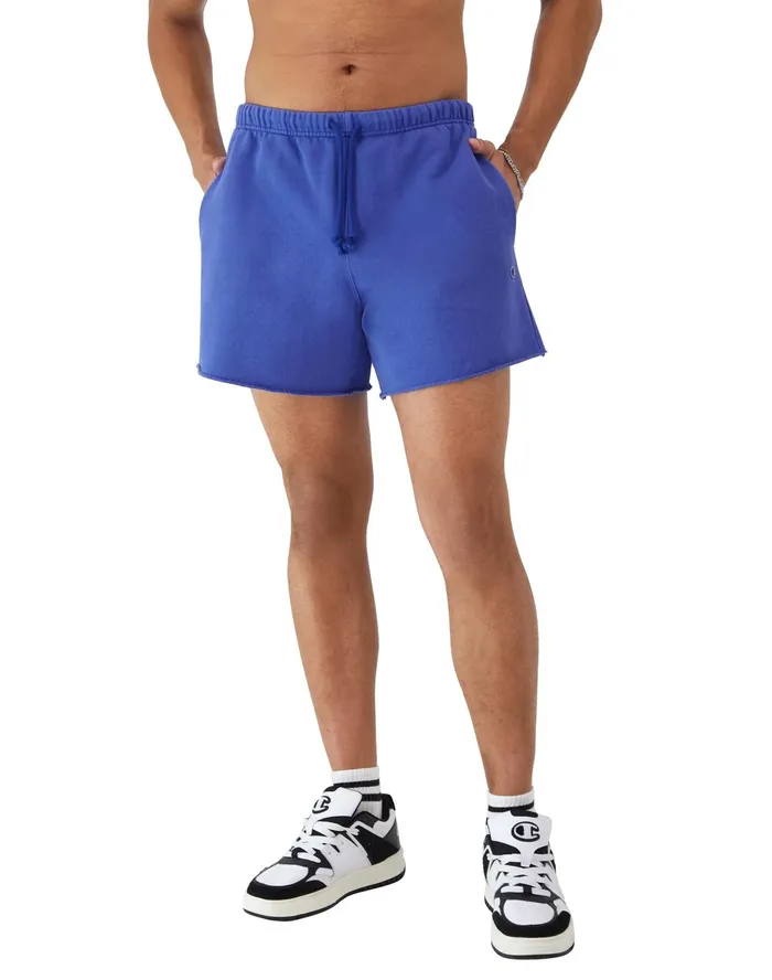 Reverse Weave CutOff Shorts 5034 Time Capsule Surf The Web Men Champion Shorts