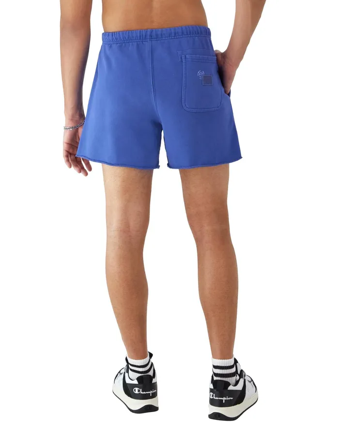Reverse Weave CutOff Shorts 5034 Time Capsule Surf The Web Men Champion Shorts