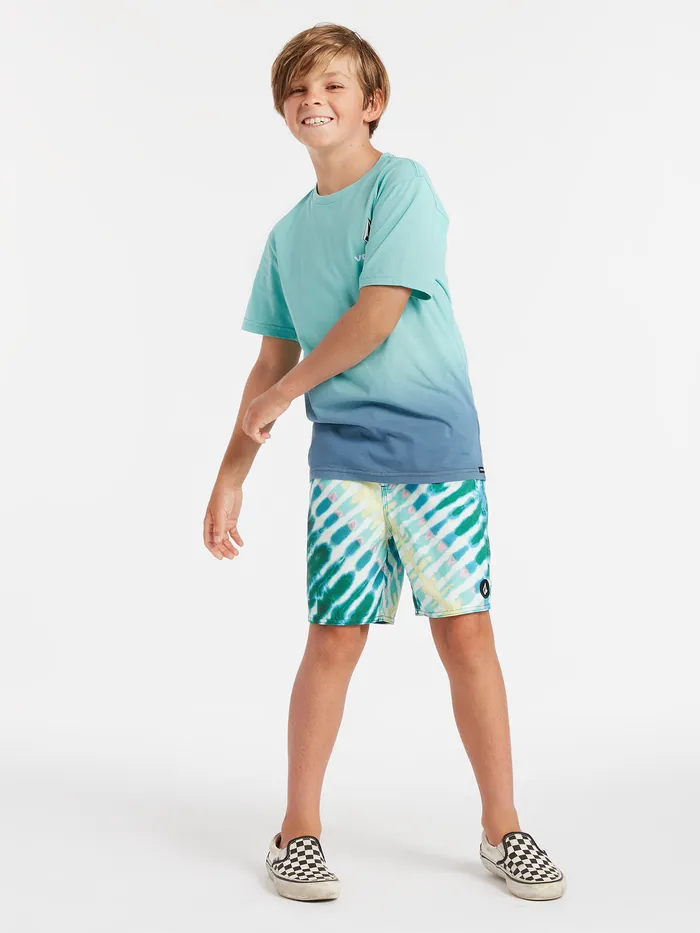 Volcom Boardshorts and Trunks Big Boys Beach Bunch Trunks 8211 Multi Multi 8211 Boys
